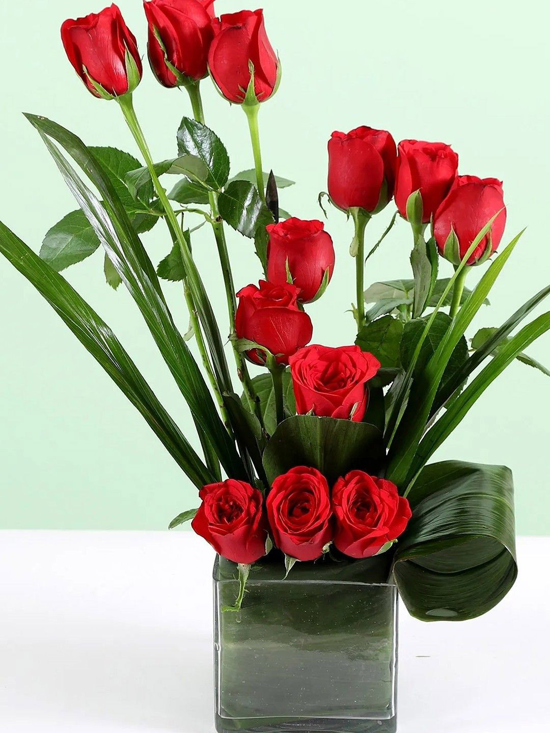 fnp Red & Green 12 Pieces Roses Vase Arrangement