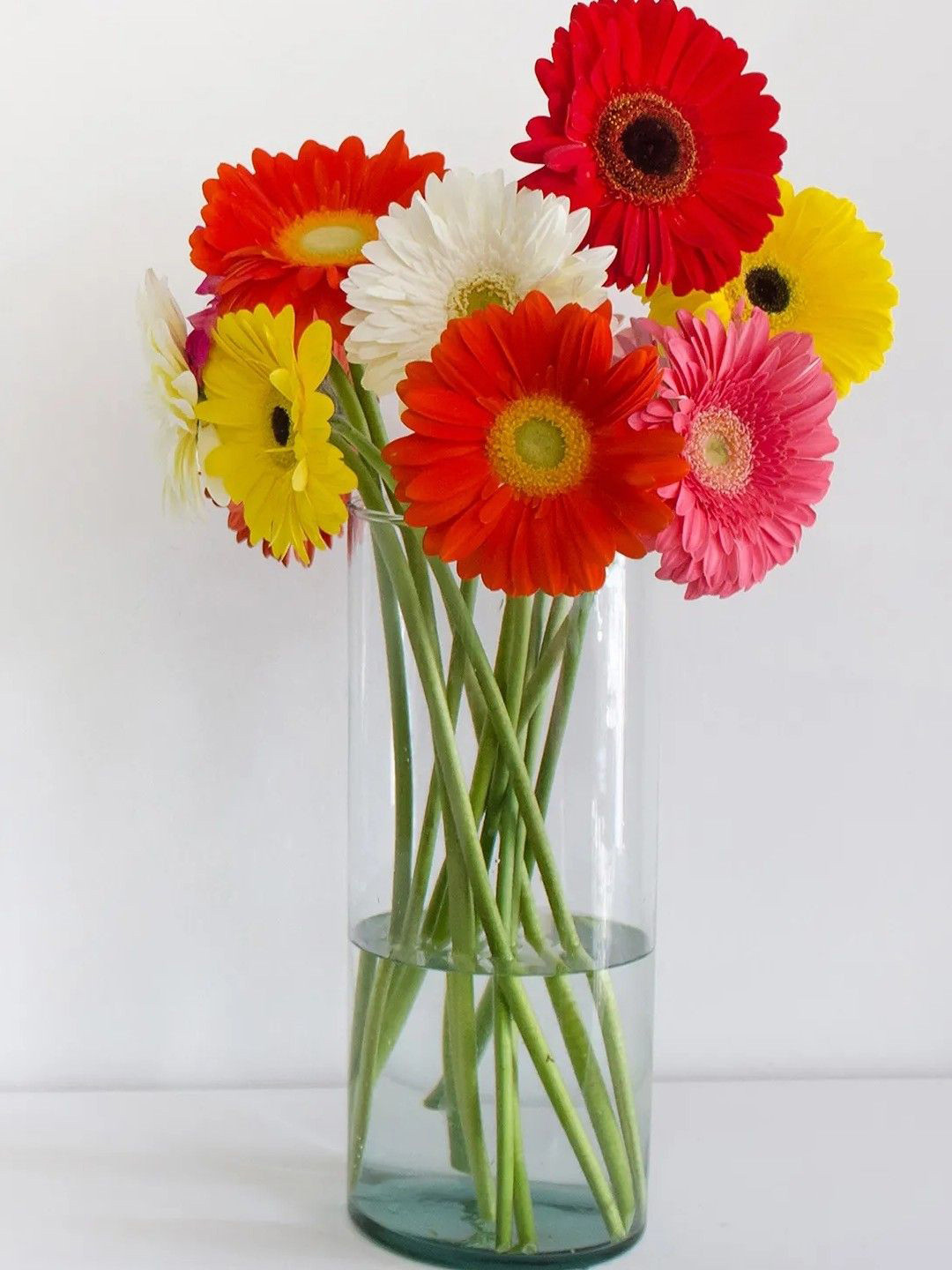 fnp Red & Yellow 10 Pieces Cheerful Gerbera Blossoms Vase