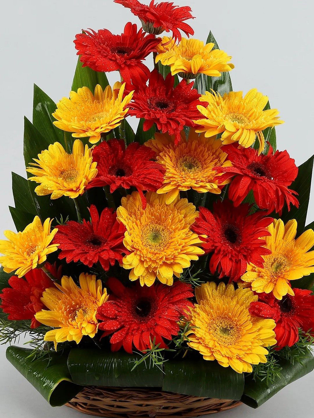 fnp Red & Yellow 20 Pieces Gerberas Fresh Flowers Bouquet