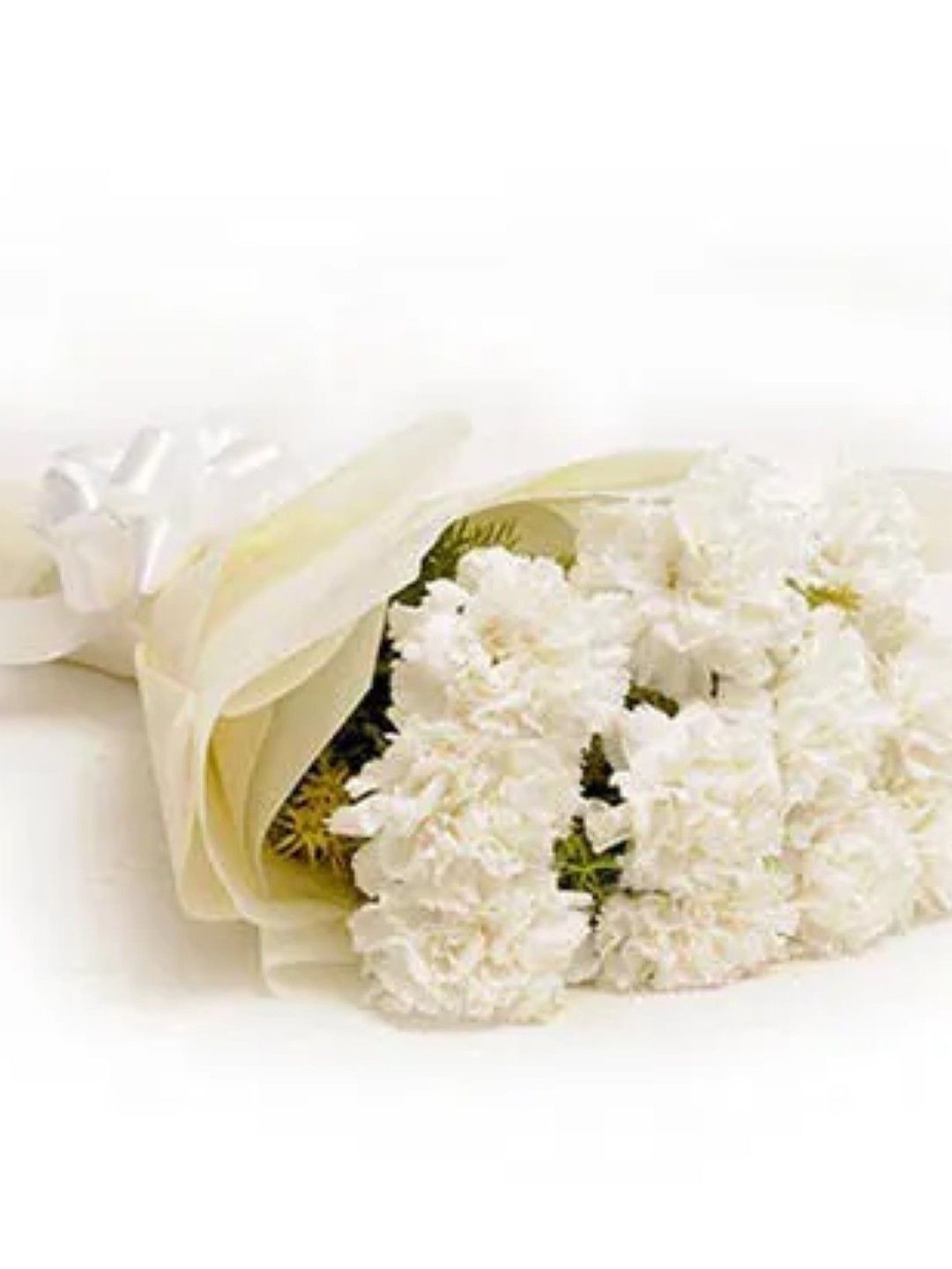fnp 12 pieces White Carnations Fresh Flowers Bouquet