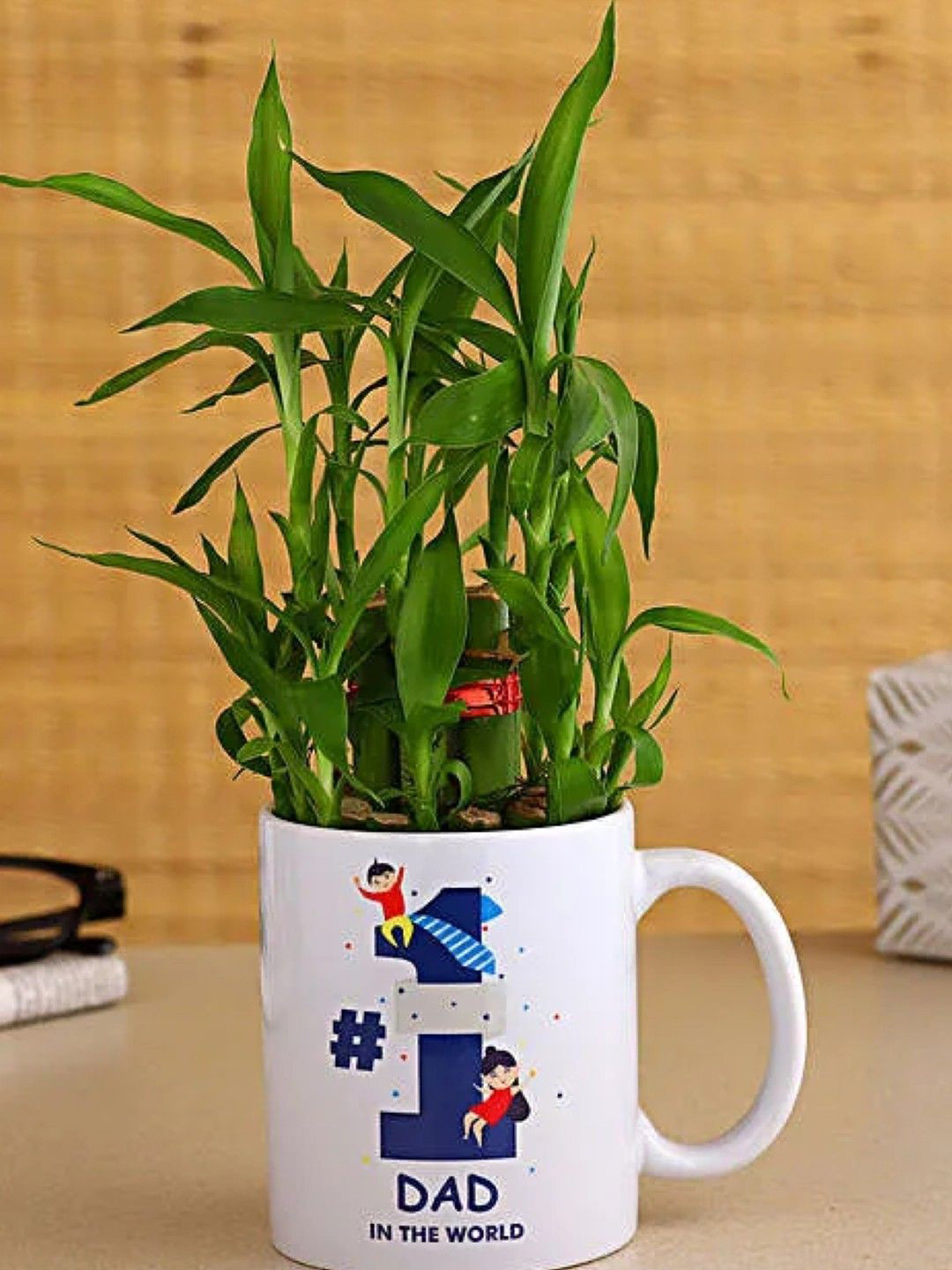 fnp Green & White Indoor Bamboo Plant With Mug