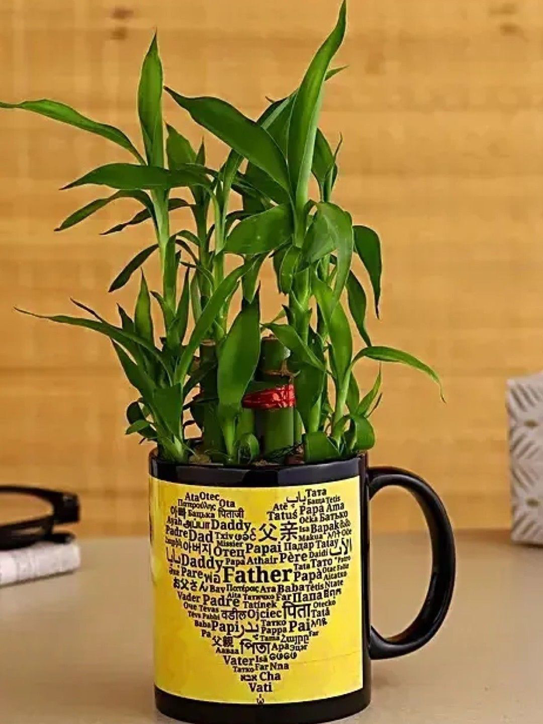 fnp Indoor Green & Yellow 2 Layer Bamboo Plant With Mug