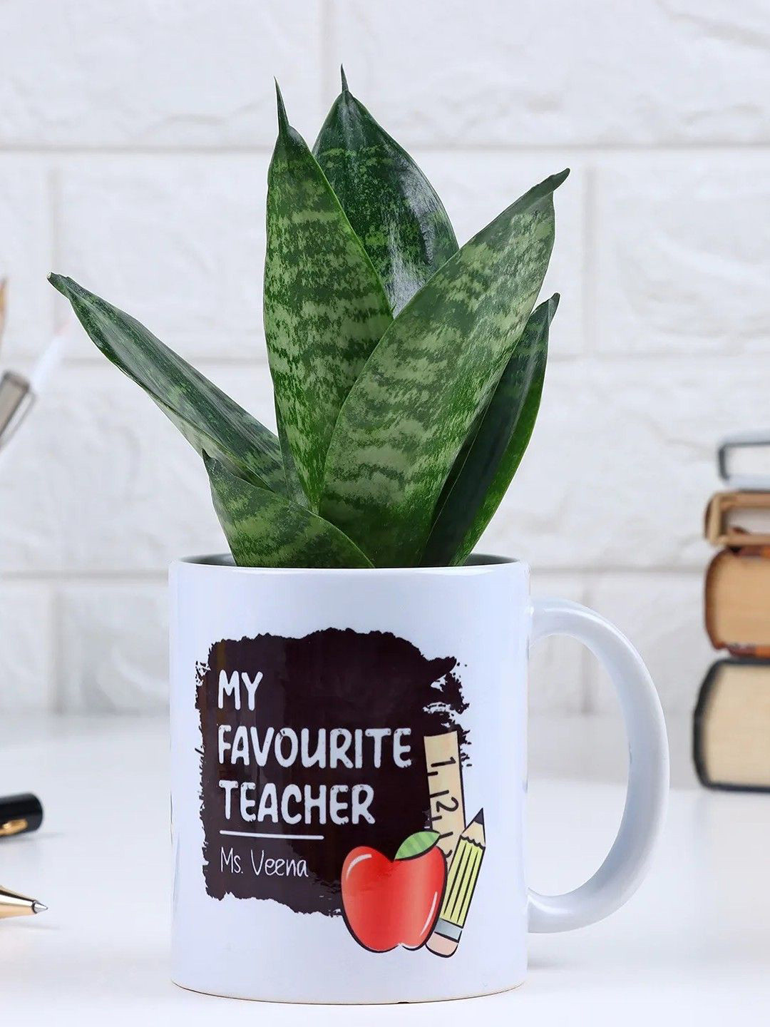 fnp Green Snake Plant With Mug