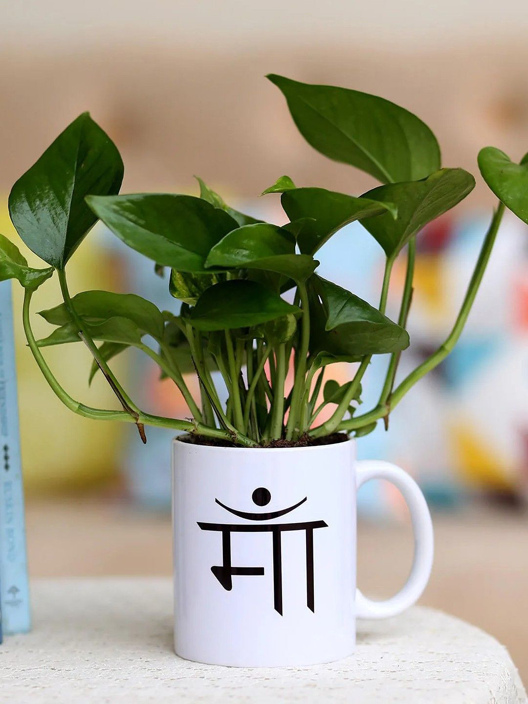 fnp Green Money Plant With Mug