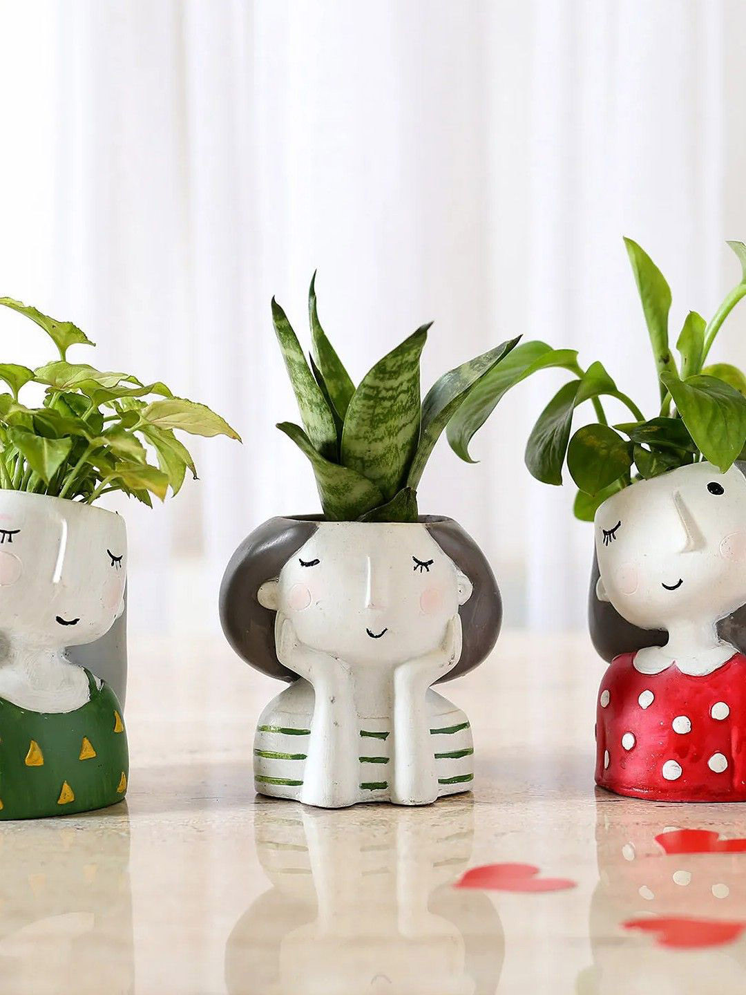 fnp Set Of 3 Green Sansevieria Plant With Pot  5 inches