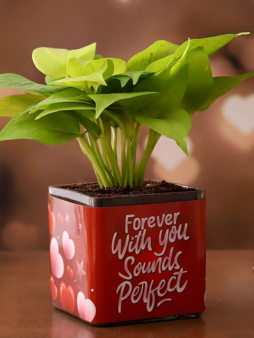 fnp Money Plant With Forever With You Sounds Perfect Sticker Vase