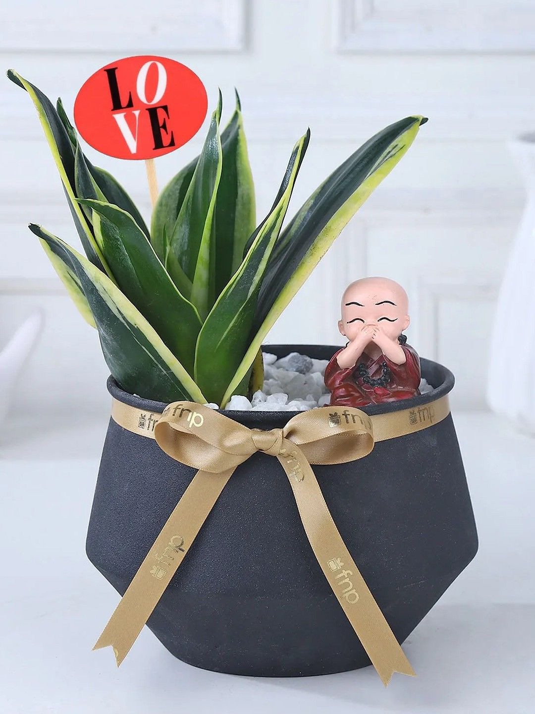 fnp Milt Sanseveiria Plant With Metal Vase 7 Inches