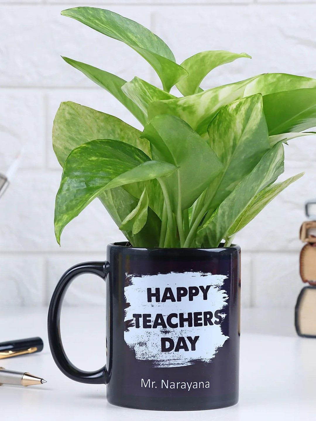fnp  Indoor Money Plant with Mug Pot