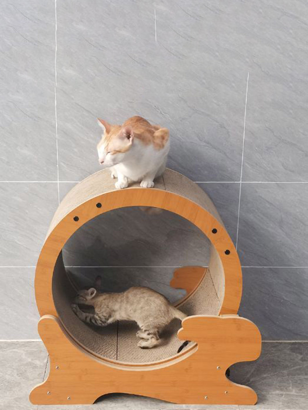 Emily pets Indoor Cat Exerciser Treadmill