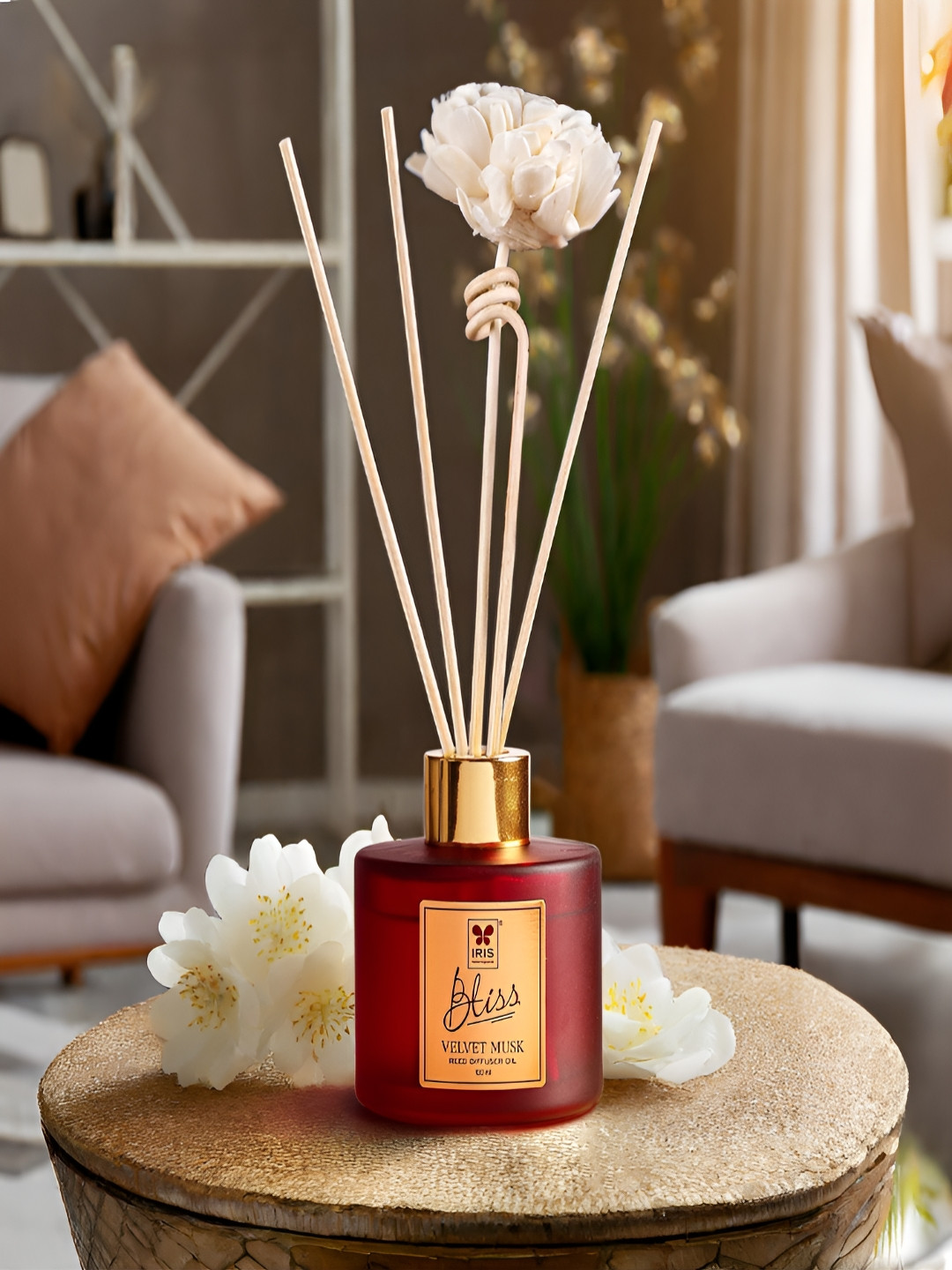 Iris Maroon Reed Aroma Oil Diffuser & Sticks 100 ml