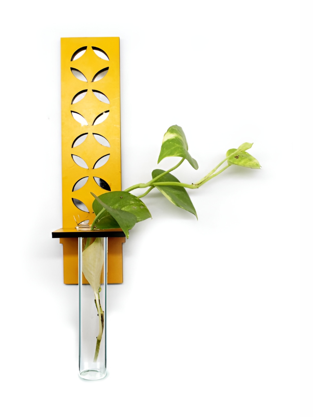 VAH Kya Bat Hai !! Yellow & Transparent Wooden Flower Pot Holder With Tube