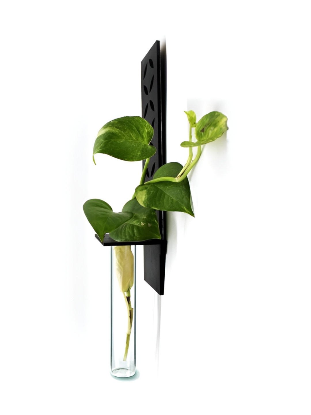 VAH Kya Bat Hai !! Black & Transparent Wooden Flower Pot Holder With Test Tube