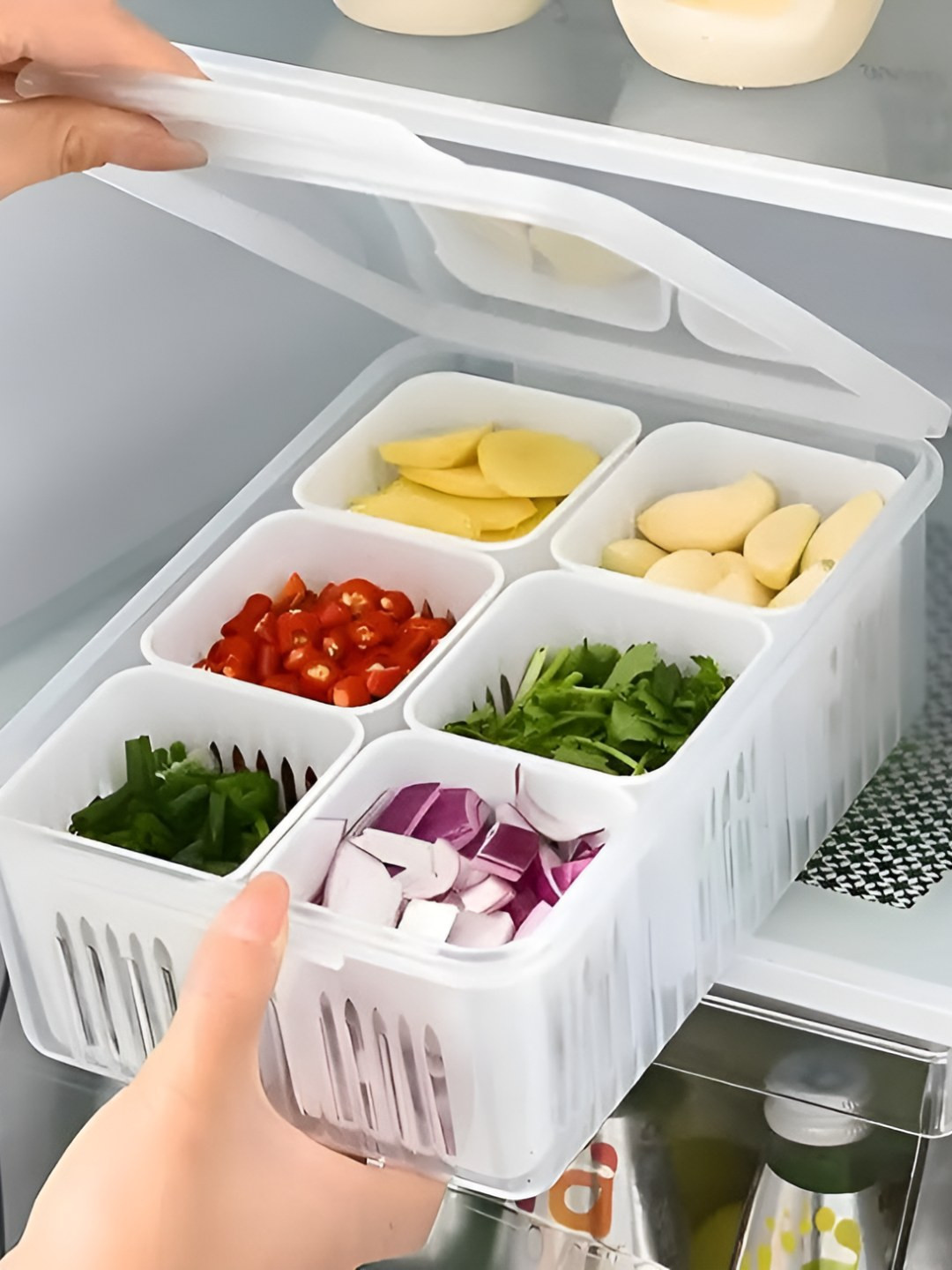 RK EMPIRE Transparent Fridge Storage Containers