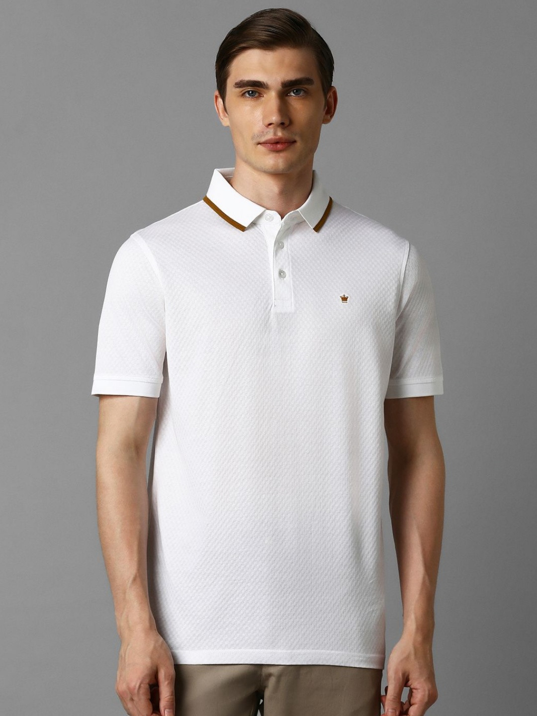 Louis Philippe Men Polo Collar T-shirt