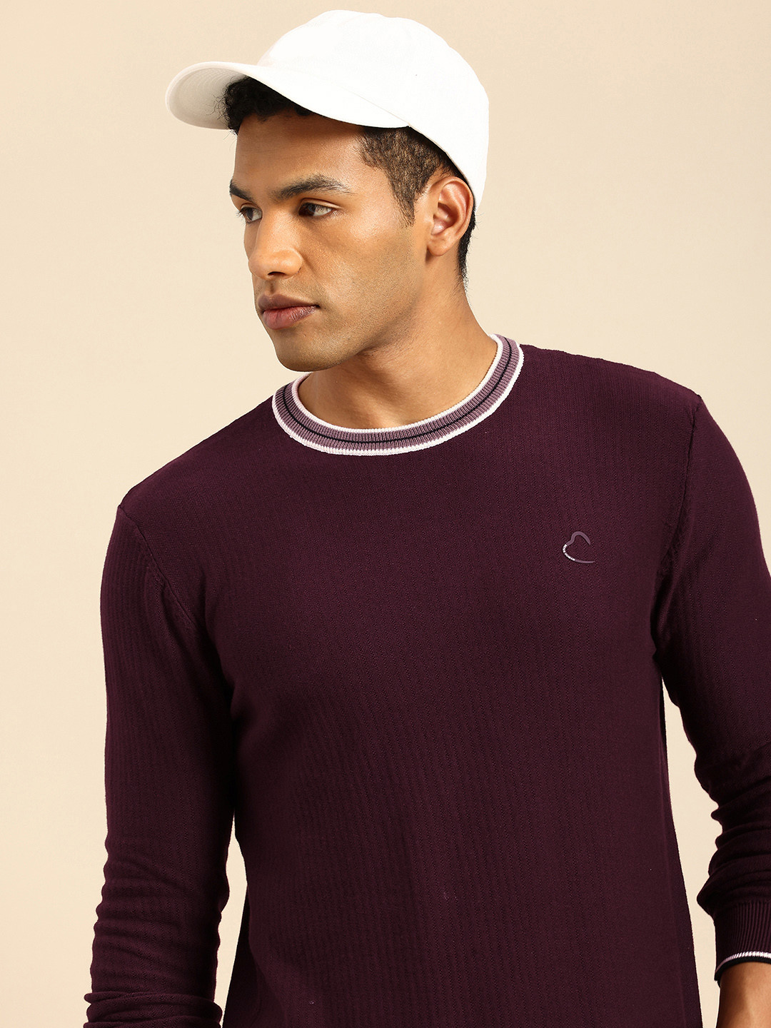 Being Human Men Ribbed Pullover