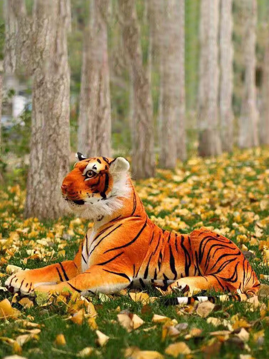 Adbeni Soft Toy Soft Toys and Dolls