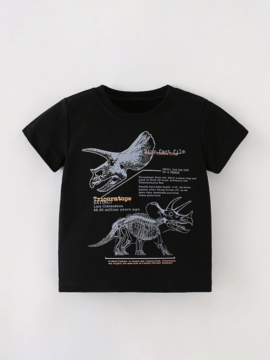 StyleCast Boys Graphc Printed Round Neck T-shirt