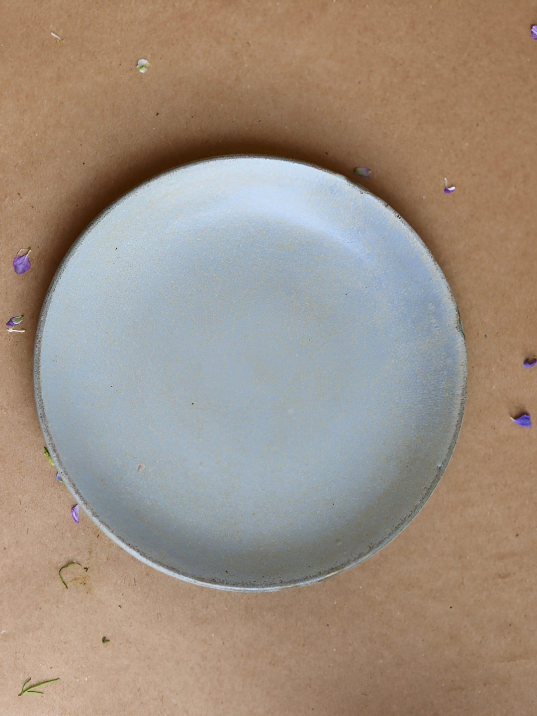 WEAVING HOMES Blue Microwave Safe Glossy Ceramic Plate