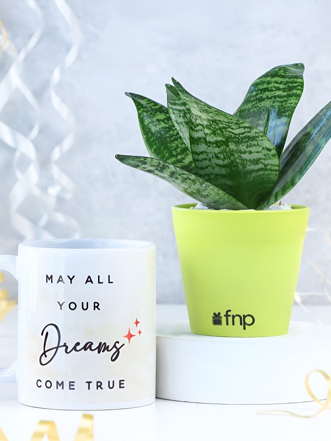 fnp White & Green Sanseveiria Dragon Snake Plant With Mug