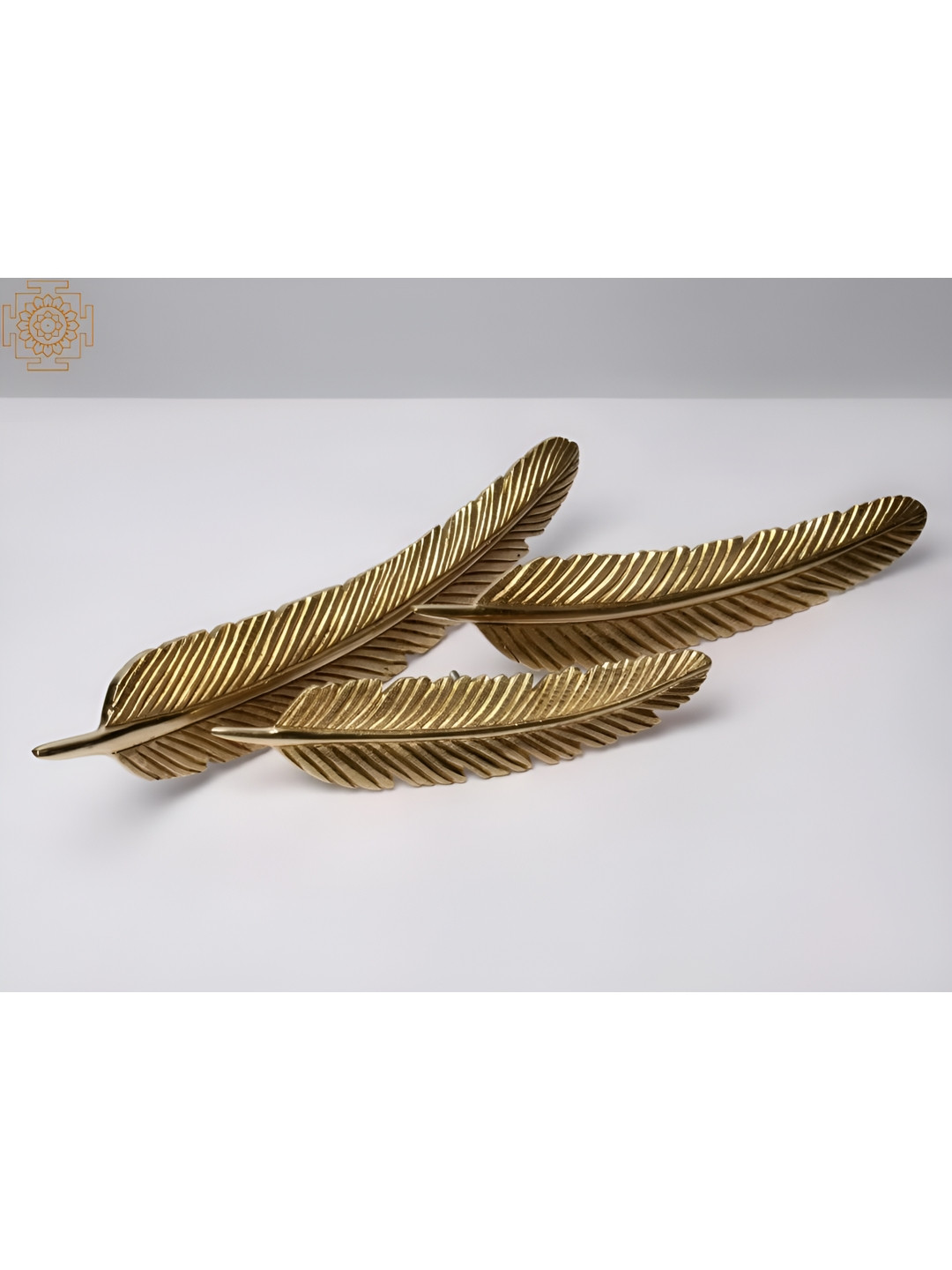 Exotic India Three Feather Of Birds With Screws Brass Glossy 3Pcs Wall Hangings-3.5In