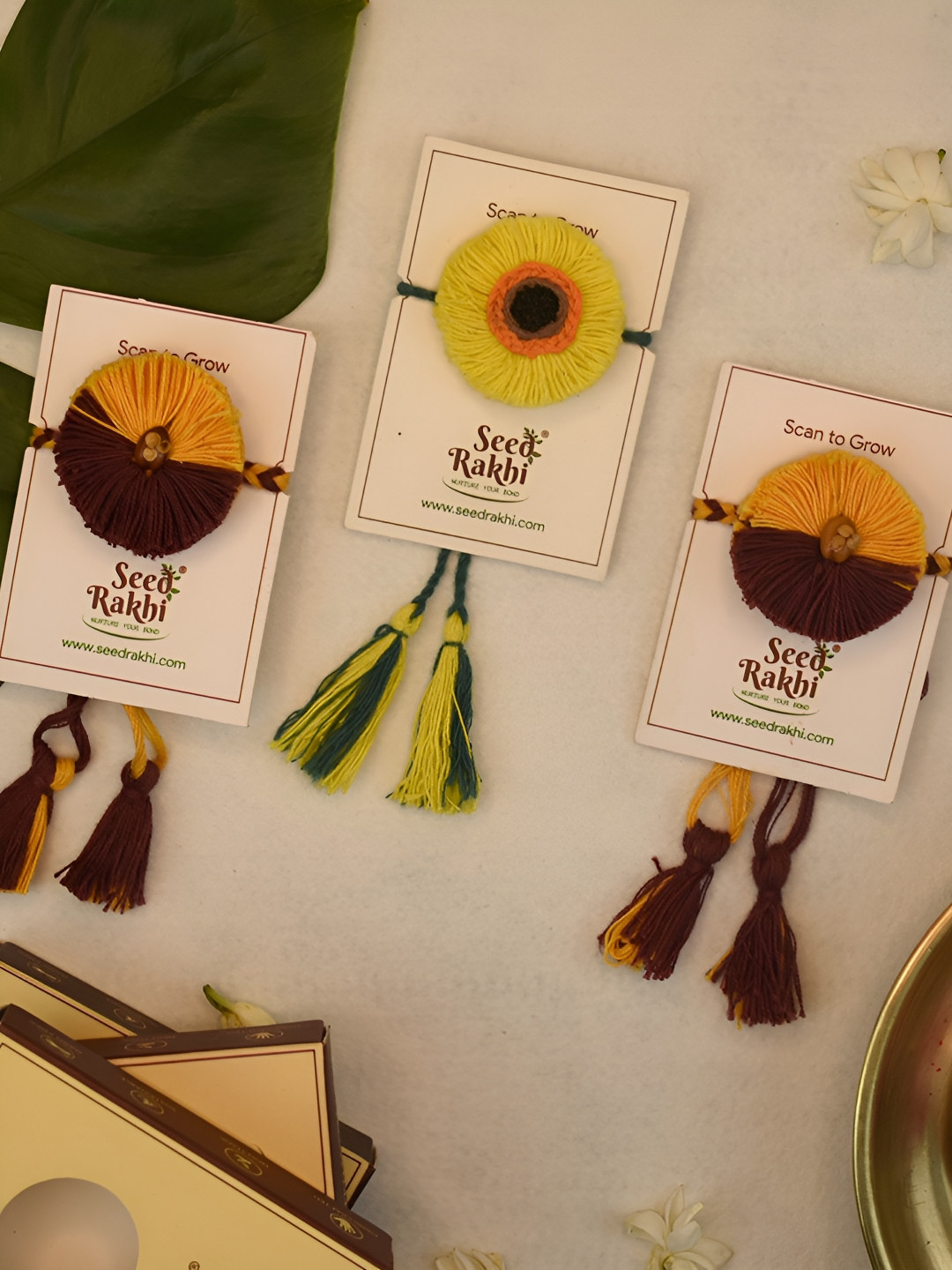 Indigifts Set Of 3 Plantable Rakhi For Brother