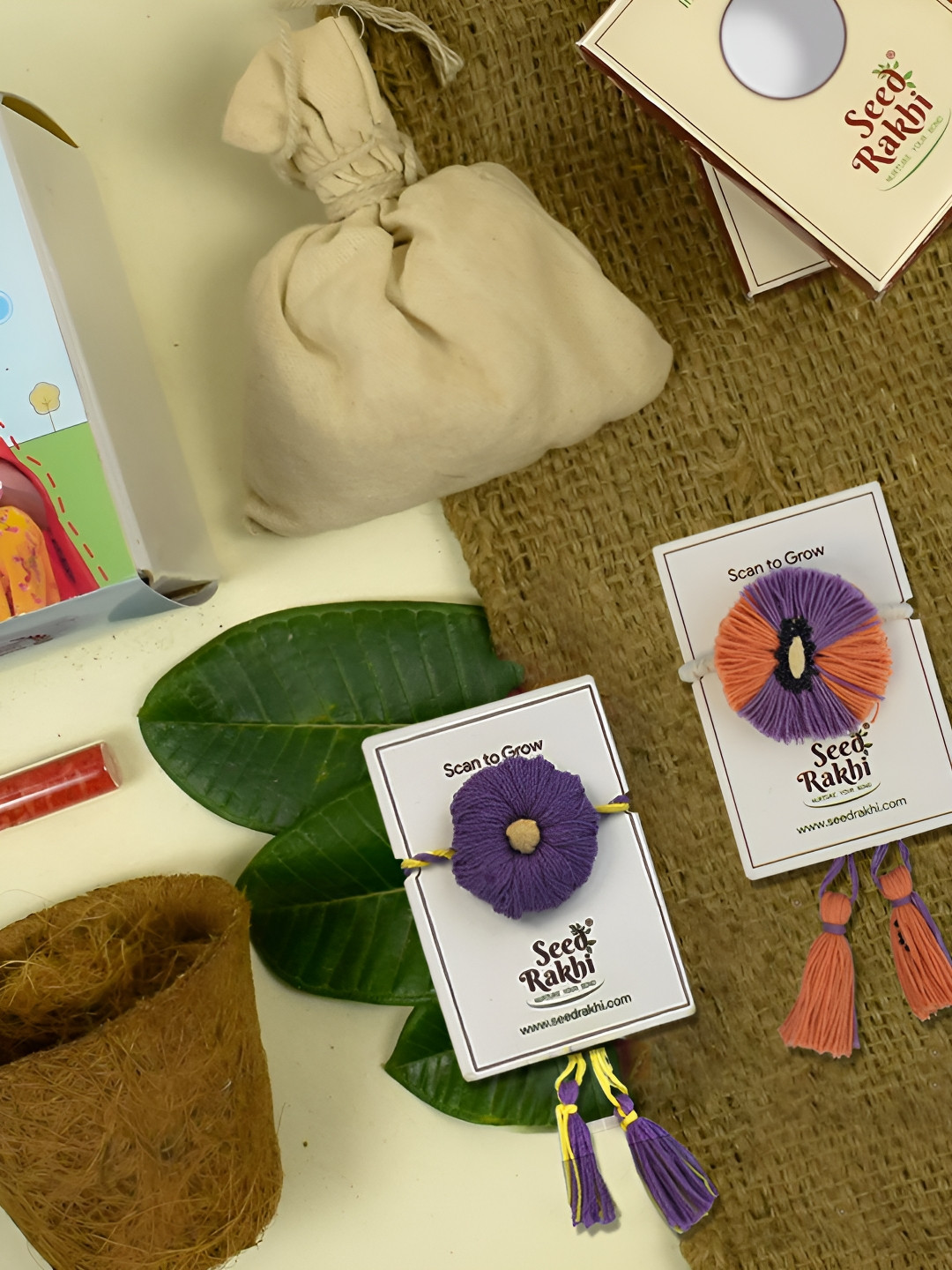 Indigifts Set of 2 Plantable Rakhi With Planter
