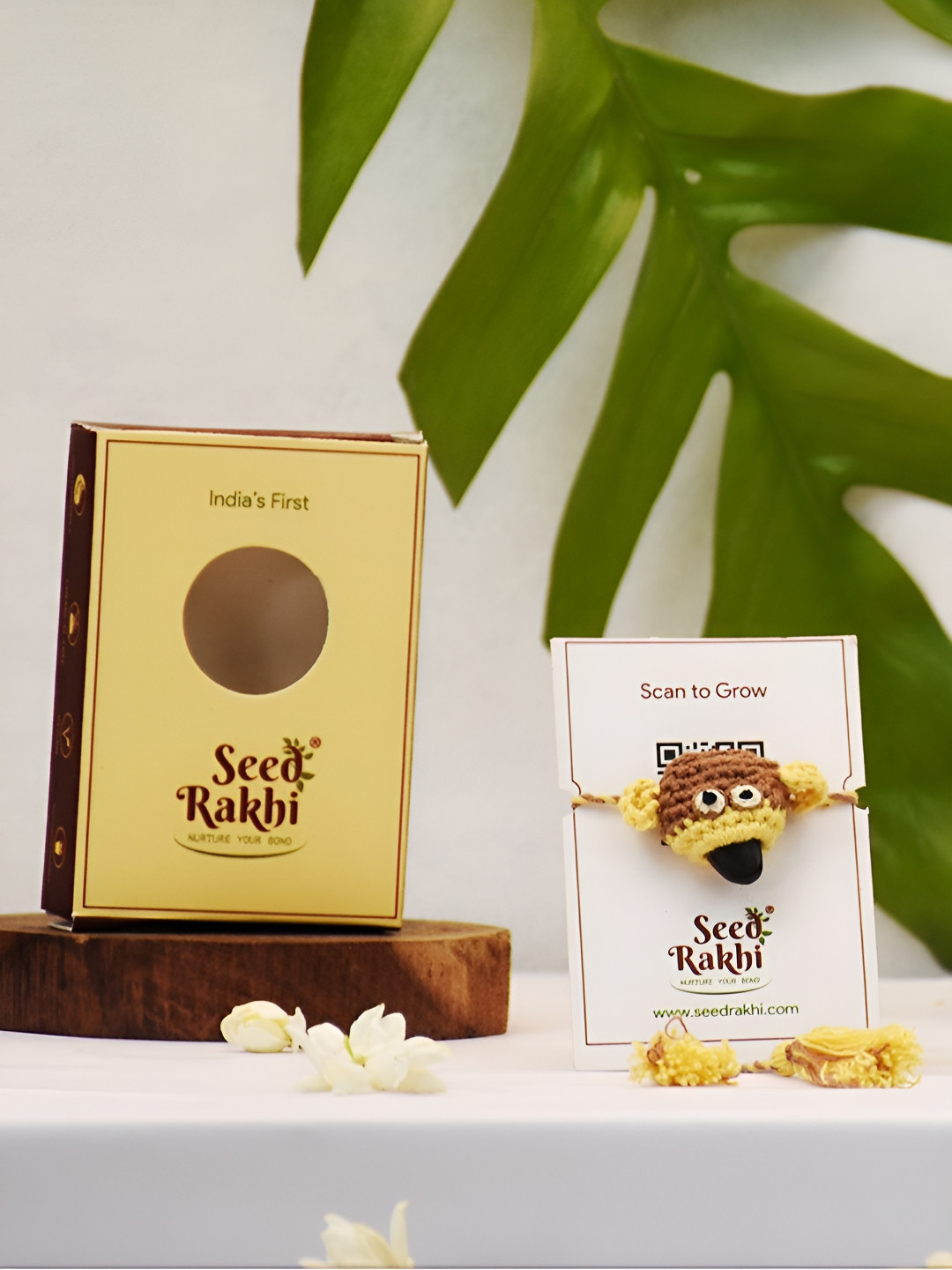 Indigifts Cotton Seed Rakhi