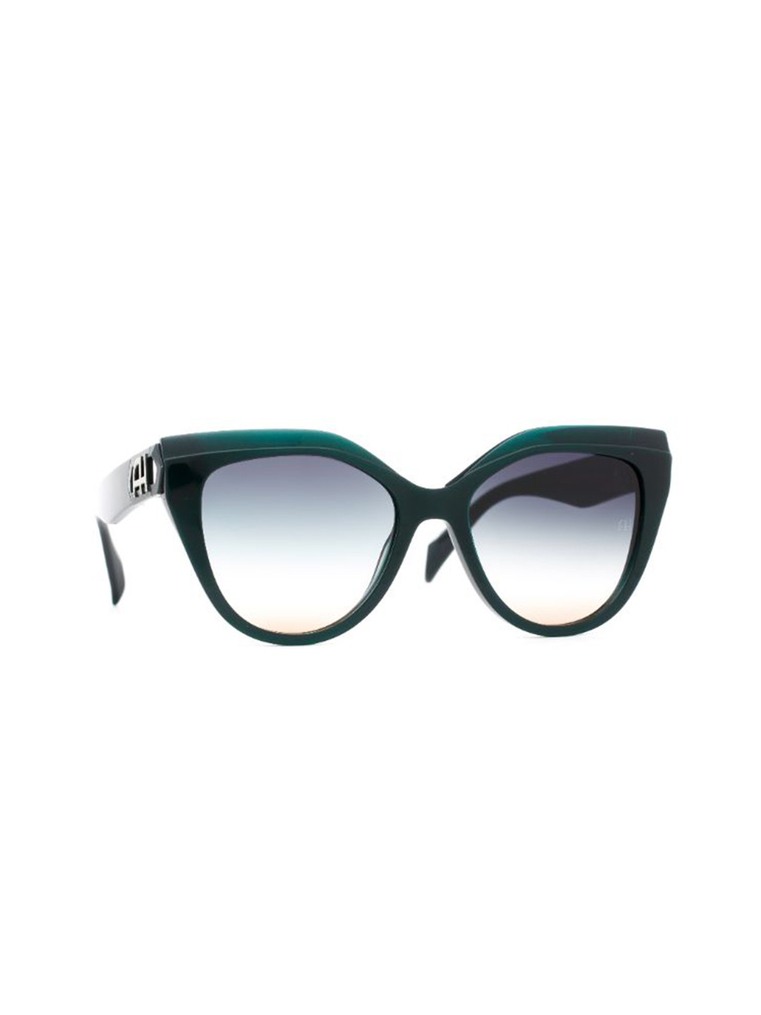 Ana Hickmann Women Round Shape Full Rim Cateye Sunglasses with UV Protected Lens