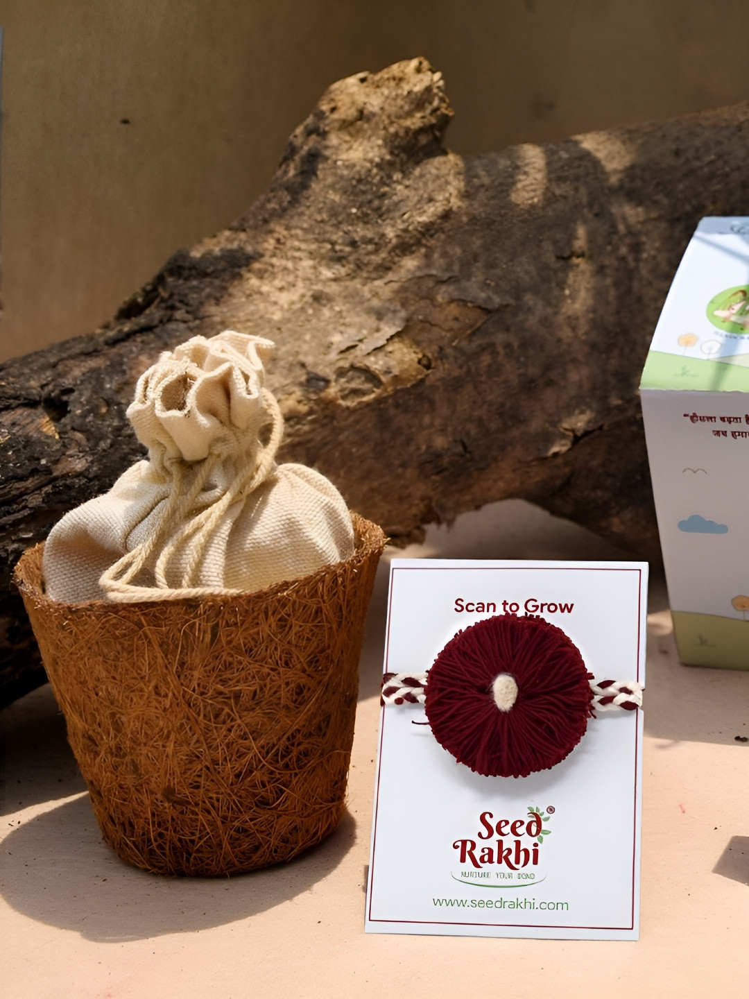 Indigifts Seed Rakhi With Planter,1 Instruction Manual with Roli Pack