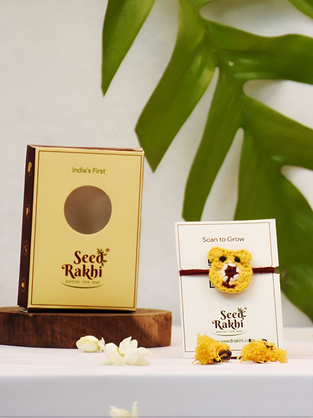 Indigifts Seed Teddy Charm Rakhi Gift Set