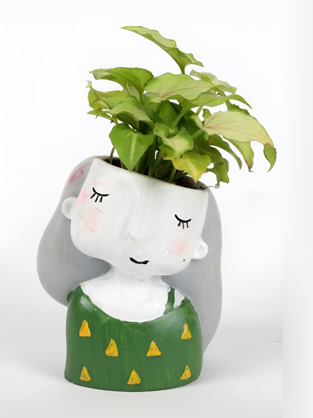 fnp Green & White 2 Pieces Jade & Raisin Plant With Pot 4 inches