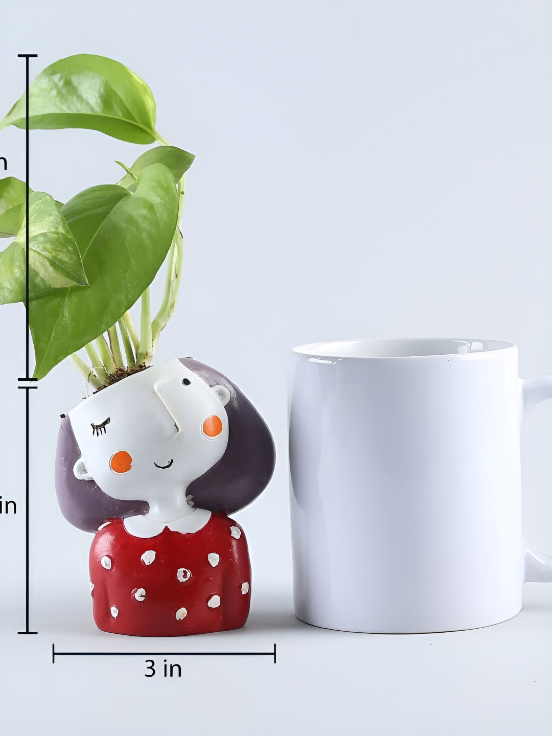 fnp Green & White 3 Pieces Sanseveiria Syngonium Money Plant With Pot 3 inches