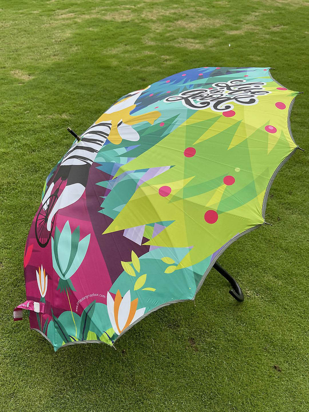 Little Surprise Box LLP Green & White Manual 2 Fold Quirky Umbrellas