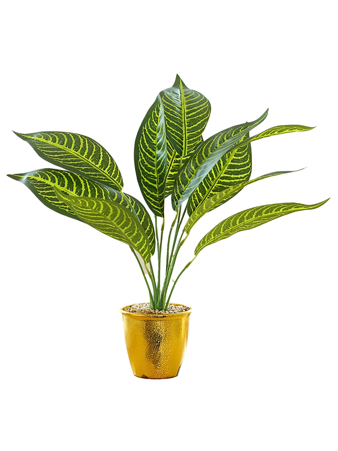 The Better Home Green & Gold Toned Leaves Plant With Pot