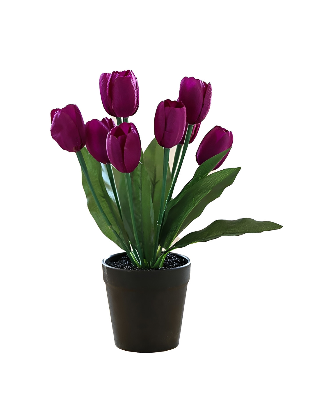 The Better Home Purple & Green Artificial Tulip Flowers With Pot