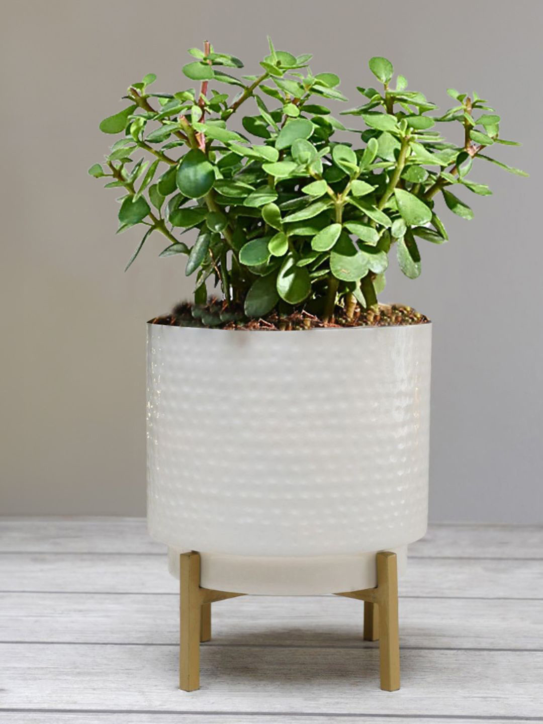 BEHOMA White Toned Small Hammered Metal Planter With Stand