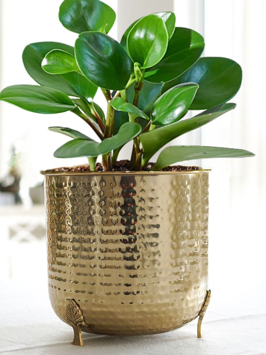 BEHOMA Gold Toned Large Hammered Metal Planter With Leaf Leg