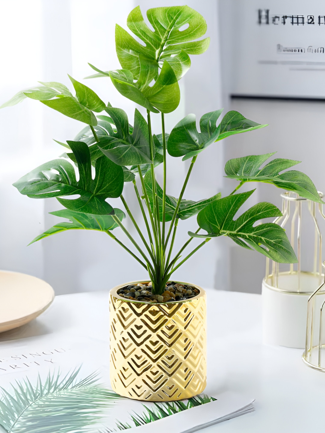 UMAI Green & Gold toned Monstera Deliciosa Artificial Plant With Pot