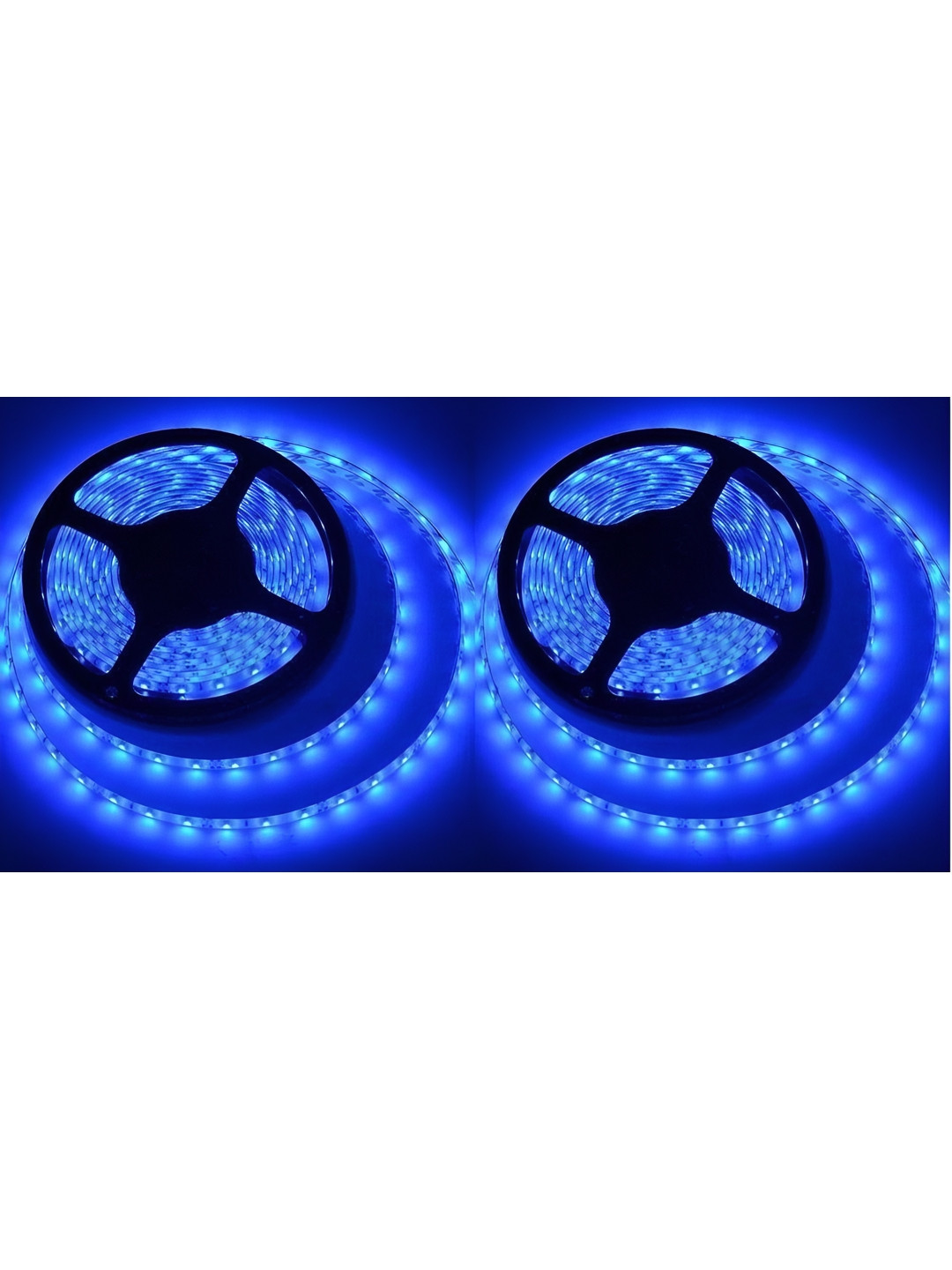 ENORMITY Blue & Black Rice Shape String Lights