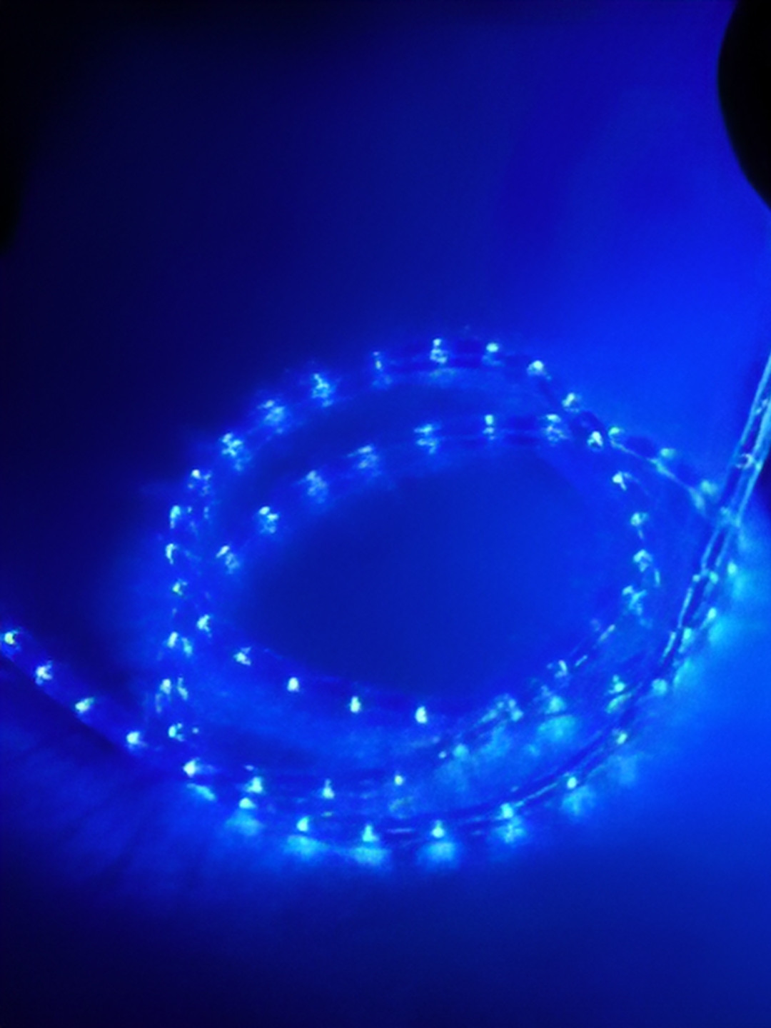 ENORMITY Blue Fairy Rice Shape String Light