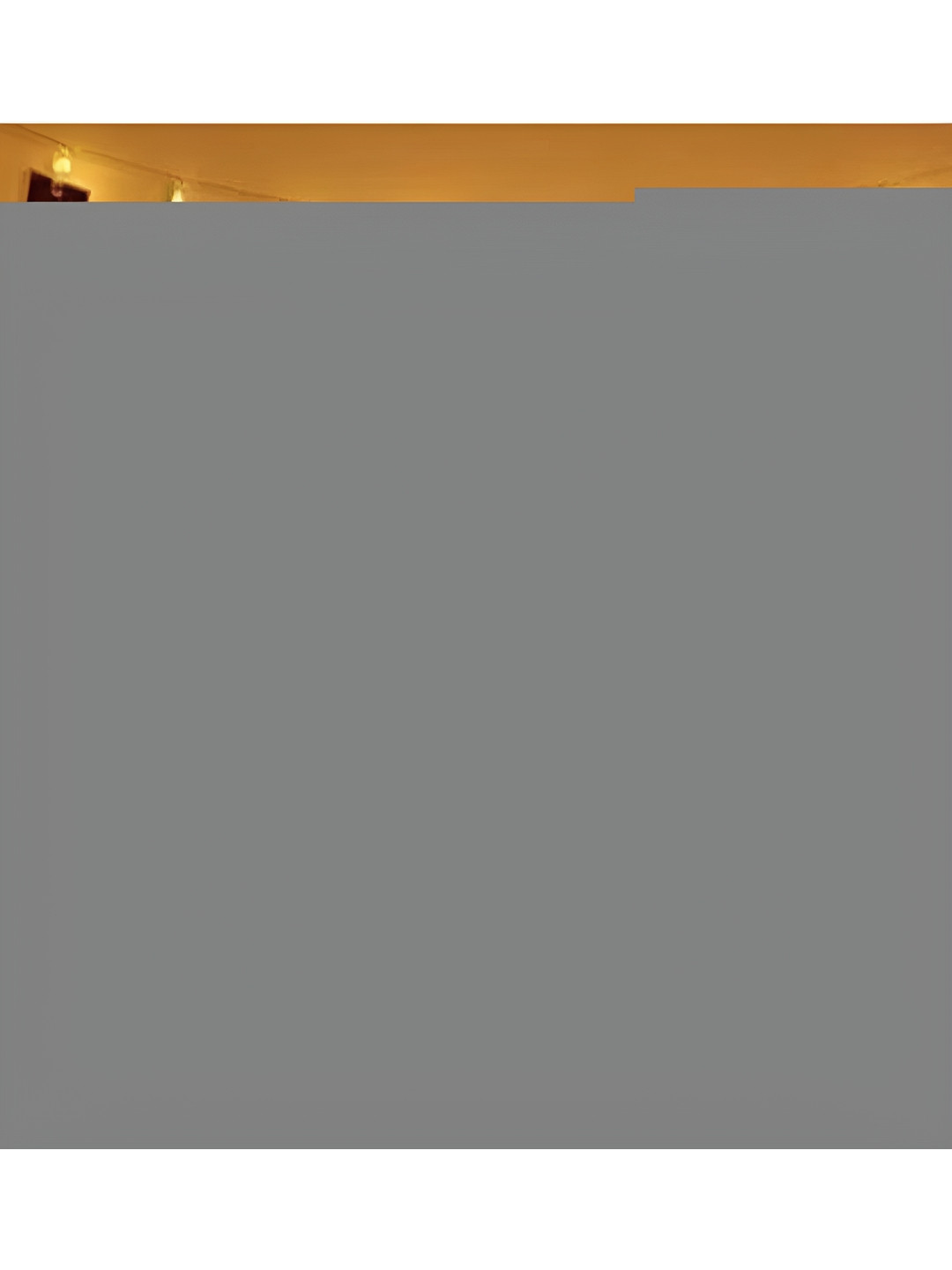 ENORMITY 5m Warm Yellow 15 LEDs Photo Clip String Lights