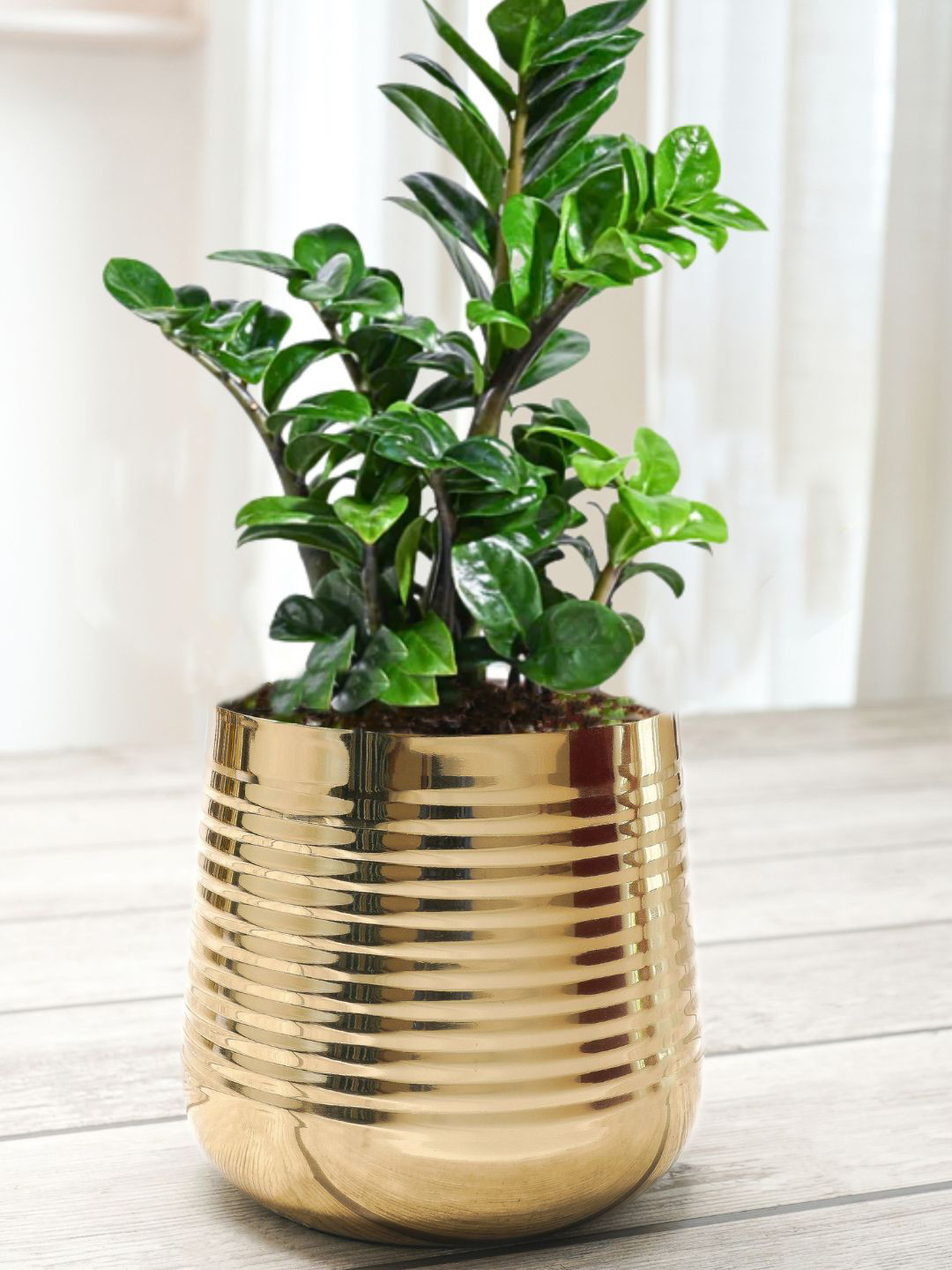 BEHOMA Gold Toned Small Metal Ribbed Planter