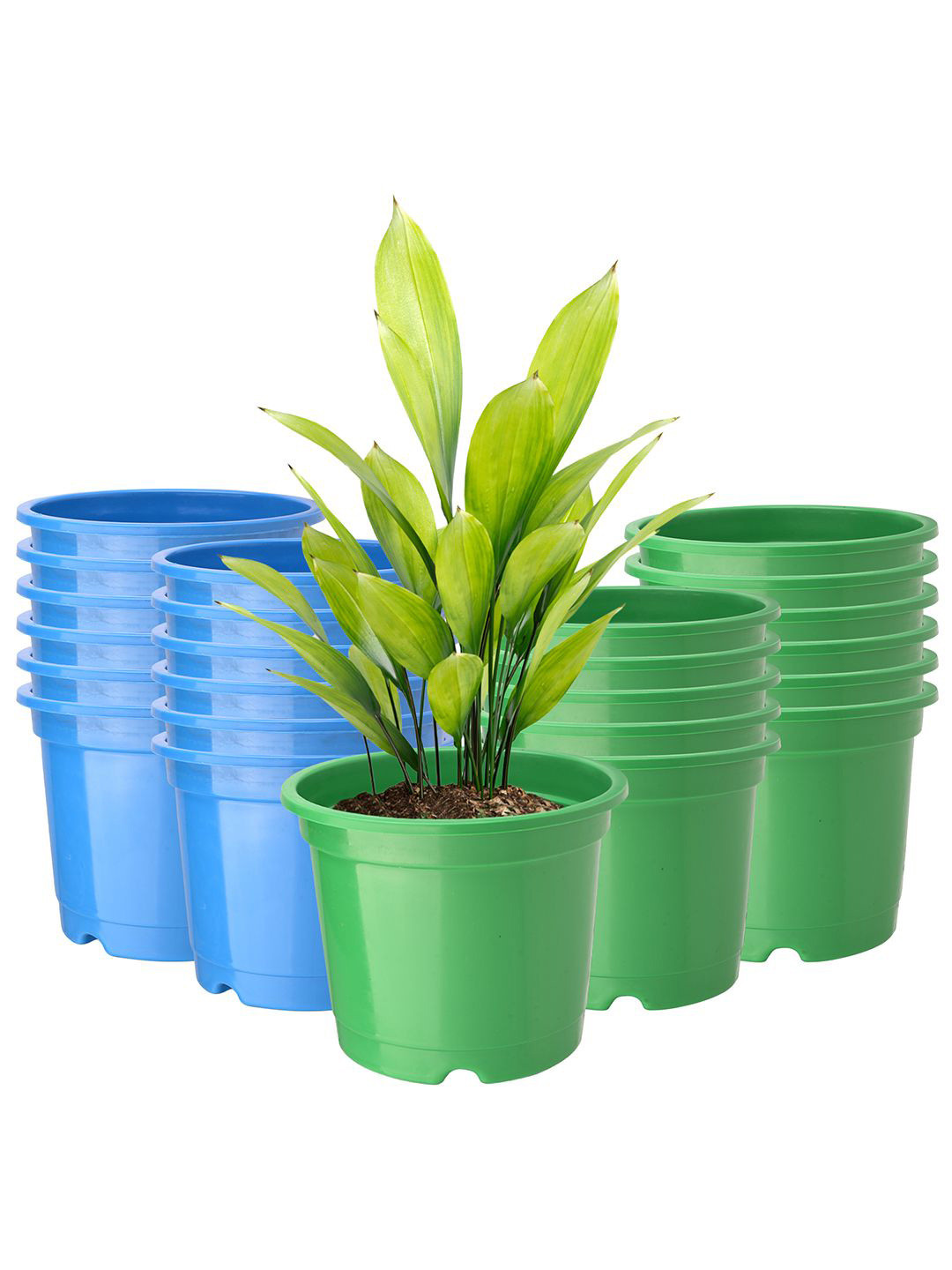 Kuber Industries Green & Blue 24 Pieces Phooldaan Durable Planters