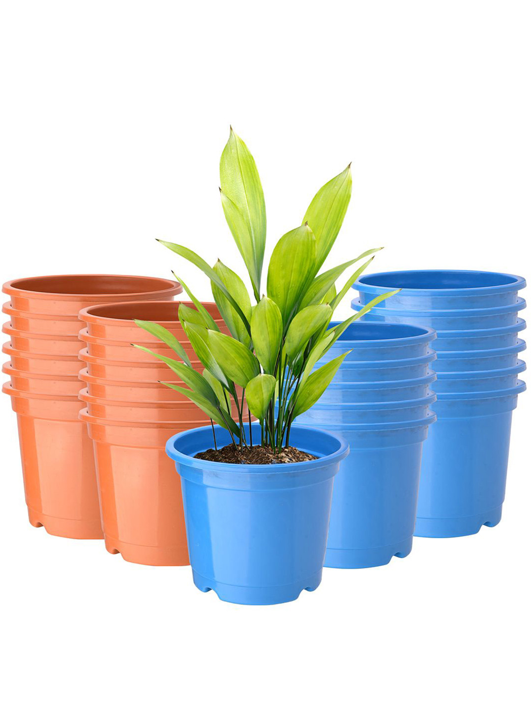Kuber Industries Orange Colored & Blue 24 Pieces Reuseable Round Planters