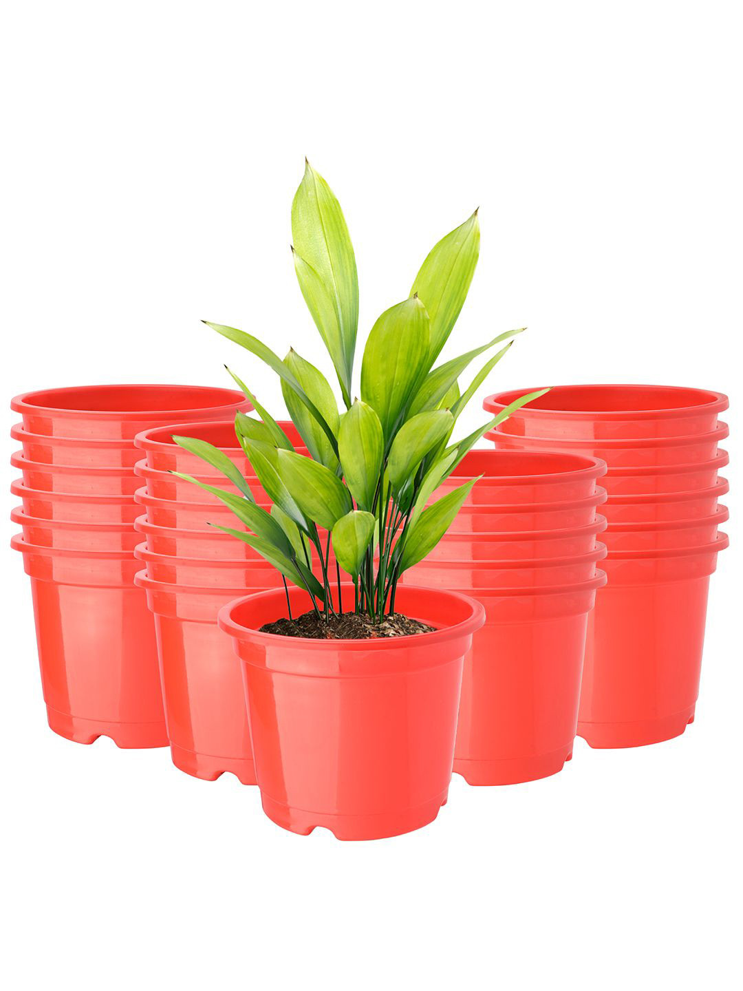 Kuber Industries Red 24 Pcs Pieces Planter With Pot