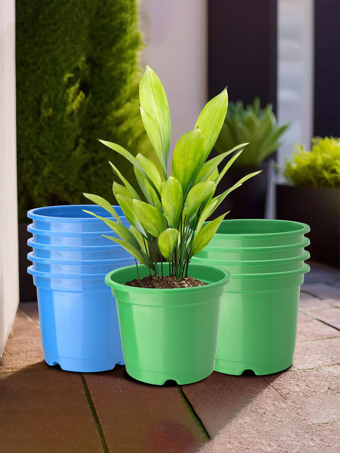 Kuber Industries Green & Blue 10 Pieces Durable Round Planters