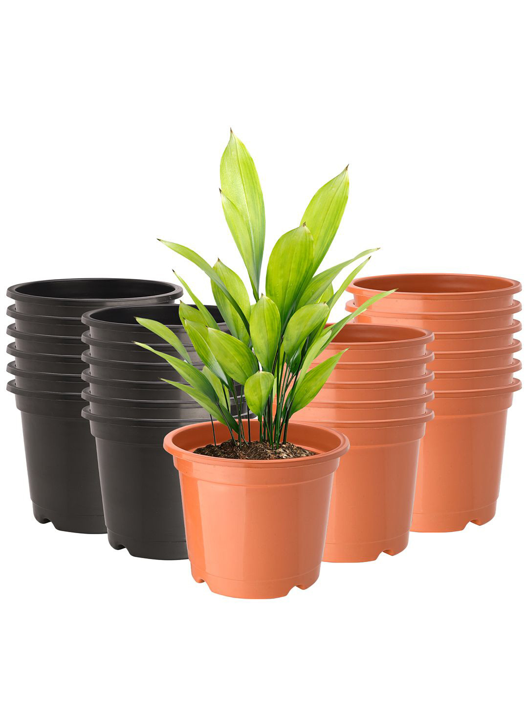 Kuber Industries Orange & Black 24 Pieces Planter With Pot