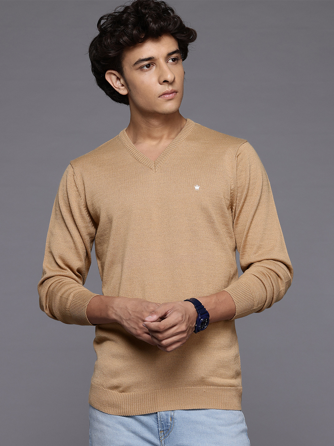 Louis Philippe Long Sleeves V-Neck Sweater