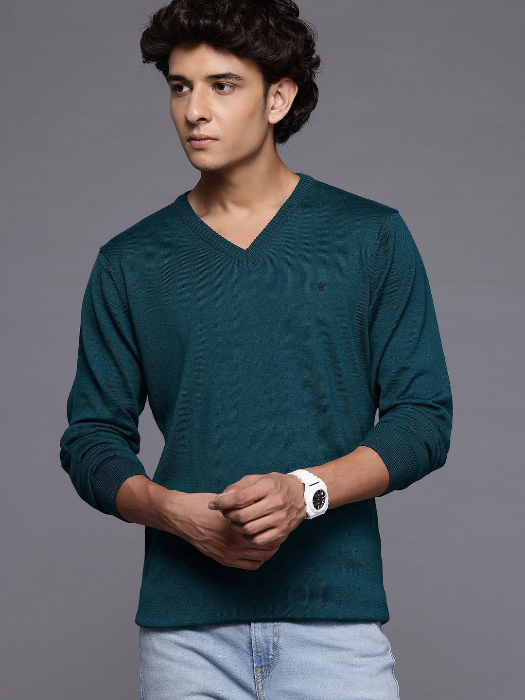 Louis Philippe Long Sleeves V-Neck Sweater