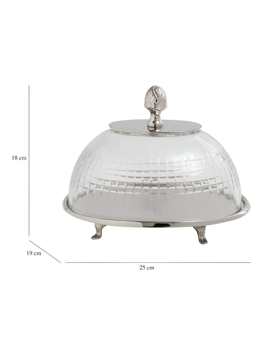 Decor de Maison Leafy Vine Silver Toned & Transparent Textured Cake Stand With Glass Dome